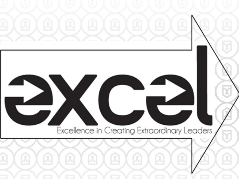The Excel Logo