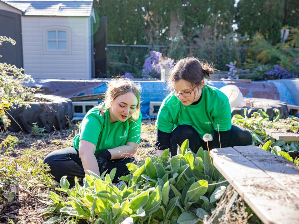Two students work in a garden.