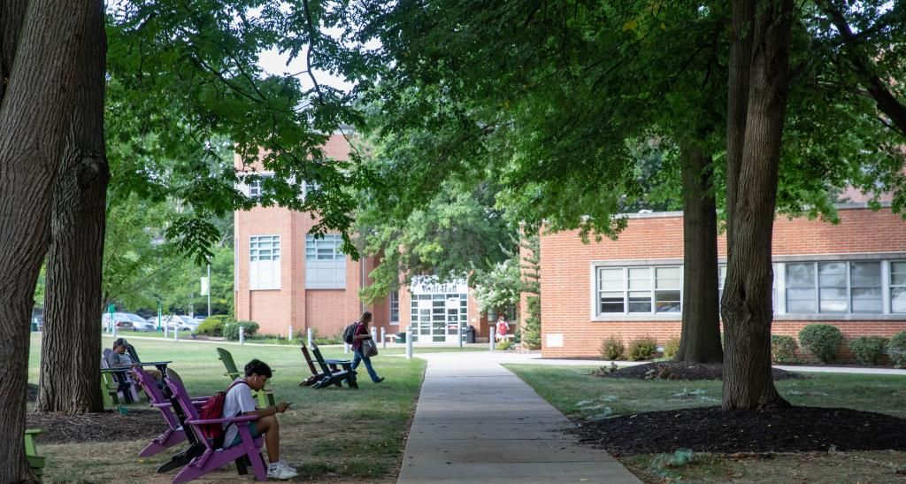 Students wearing backpacks sit in multi-colored wooden lawn chairs by a sidewalk path to the Wolf Hall building. Broad trees on both sides shadow the sidewalk path.