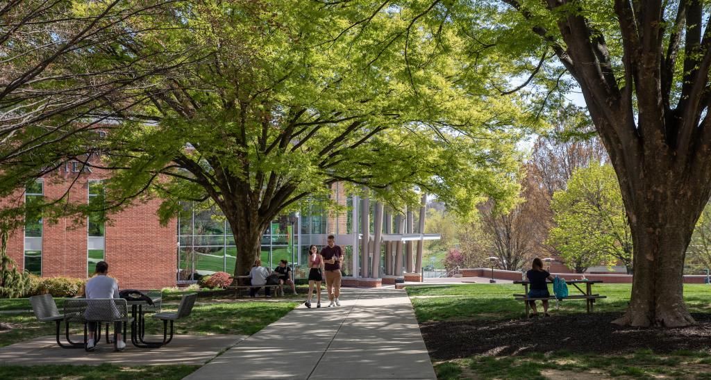 Students walk across sidewalks on the campus quad during springtime; trees bloom over the walkway.
