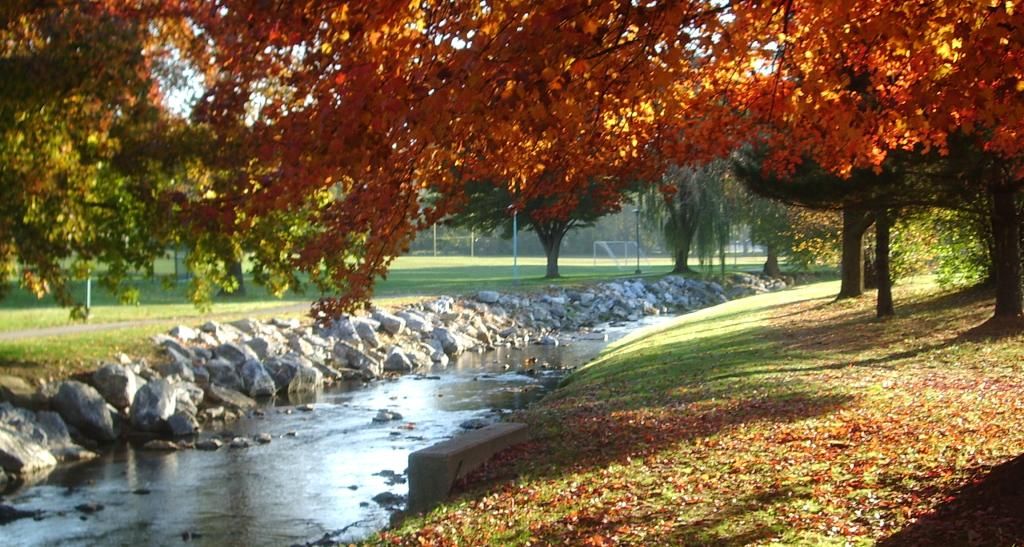 The campus creek on a sunny fall day. The view looks down the creek lined by red-leaved trees casting shade on the water 