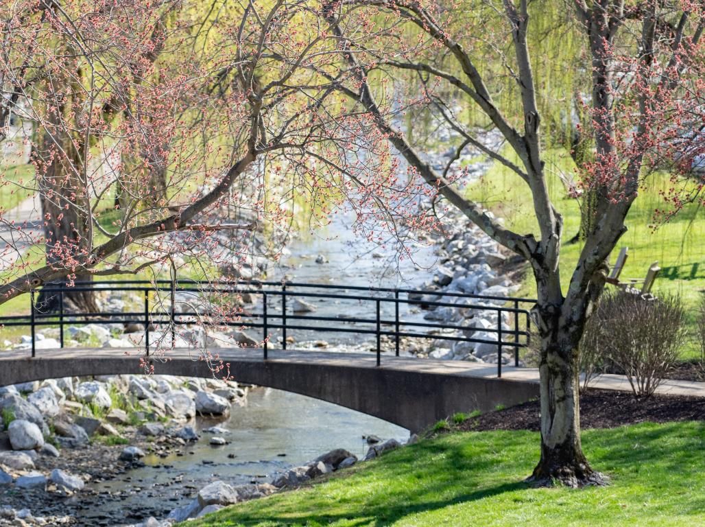 An aerial shot of the bridge that spans over Tyler Run Creek.