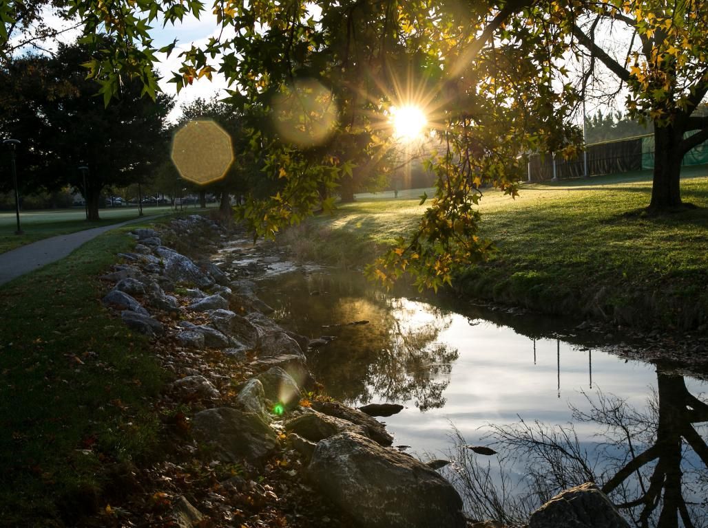 A sunset setting over the creek.