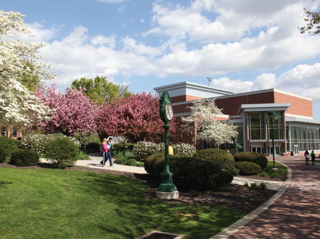 Campus at springtime when trees are in bloom