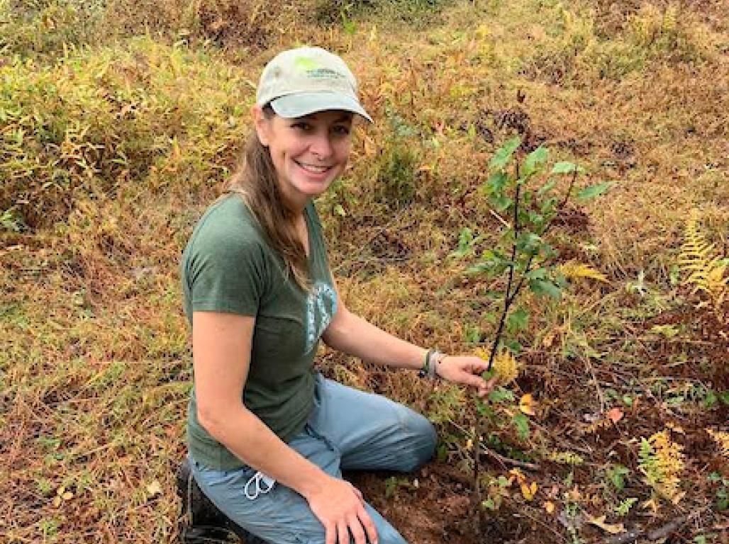 Laurie Crawford kneels on the ground, holding a small sapling tree.