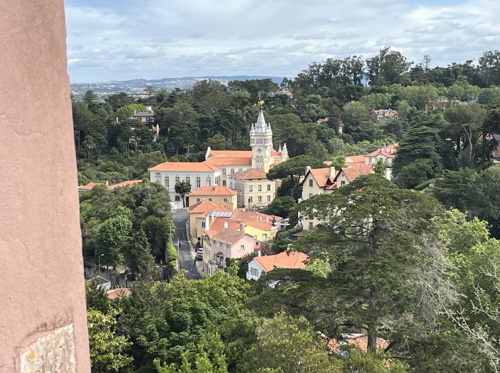 An overhead view of buildings in Portugal.