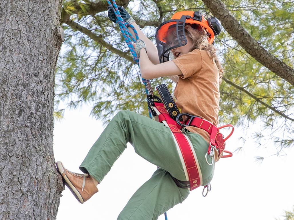 Hannah Zinn climbs a tree in climbing gear