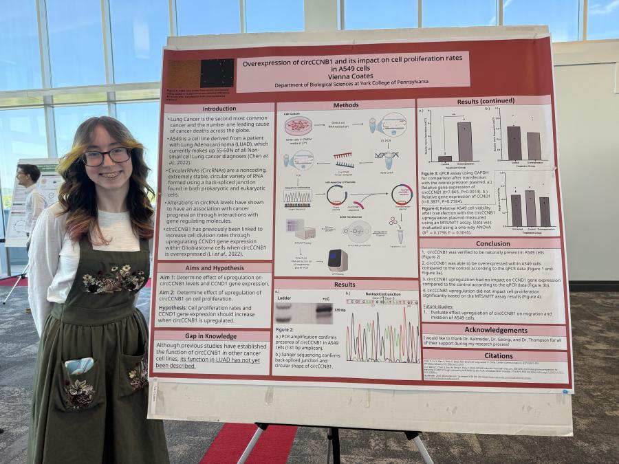 Vienna Coates standing next to her biology poster