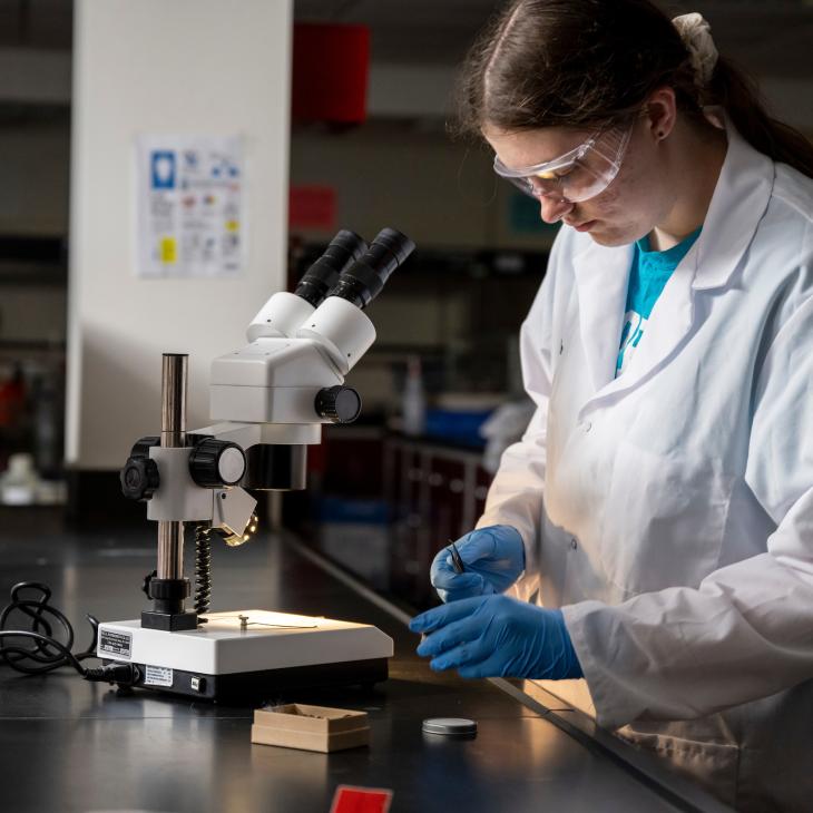 A student examines a sample using a microscope.