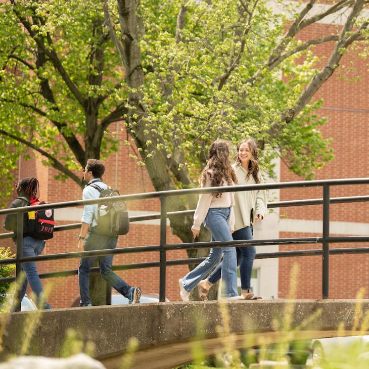 Students walking over the creek footbridge to class.