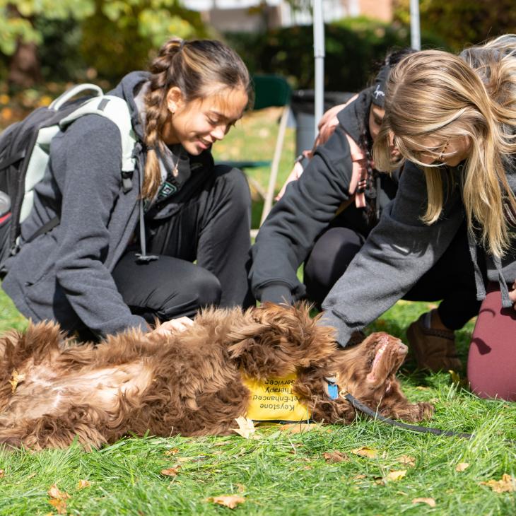 Three students kneel around and pet a therapy dog.