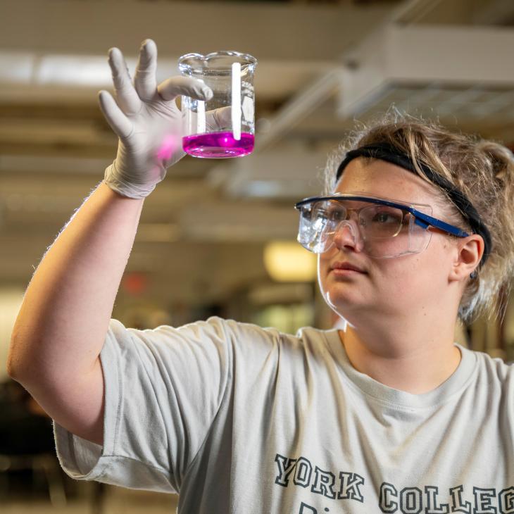 Student examining a pink liquid in beaker in a chemistry lab.