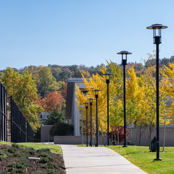 Walkway to Grumbacher with fall foliage
