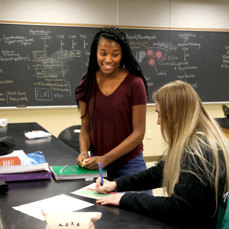Two students talking in class.